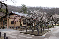 184947_3.jpg  : 108 KB