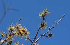 184953_1.jpg  : 23 KB