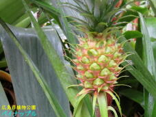 184961_1.jpg  : 58 KB