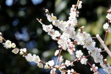 184965_2.jpg  : 64 KB