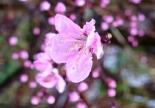 184969_1.jpg  : 29 KB