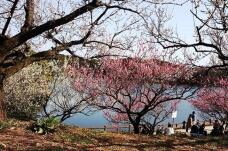 184973_1.jpg  : 210 KB