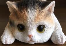 184981_3.jpg  : 64 KB