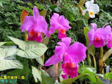 184995_3.jpg  : 82 KB