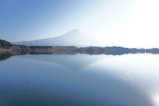 184999_1.jpg  : 50 KB