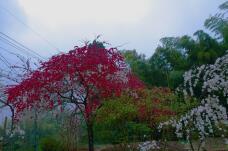 185003_1.jpg  : 154 KB