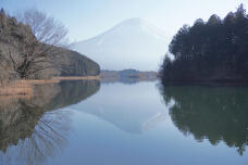 185016_1.jpg  : 138 KB