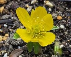 185023_1.jpg  : 30 KB