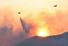 185029_3.jpg  : 31 KB