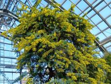 185031_1.jpg  : 96 KB