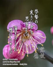 185033_1.jpg  : 183 KB