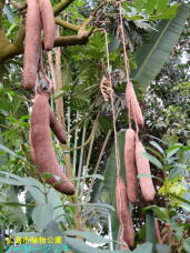 185039_2.jpg  : 92 KB