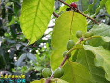 185039_3.jpg  : 47 KB