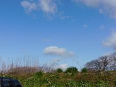 185046_1.jpg  : 117 KB