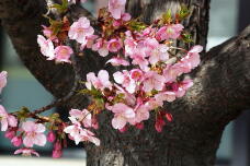 185053_1.jpg  : 159 KB