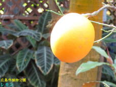 185057_2.jpg  : 41 KB