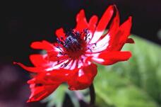 185064_1.jpg  : 79 KB