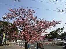 185071_1.jpg  : 156 KB