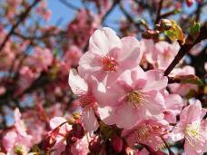 185071_2.jpg  : 102 KB