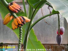 185076_2.jpg  : 53 KB