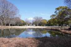 185078_1.jpg  : 287 KB