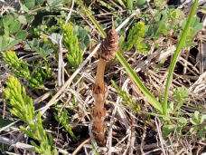 185078_2.jpg  : 154 KB