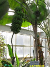 185090_1.jpg  : 71 KB