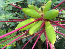 185108_2.jpg  : 70 KB