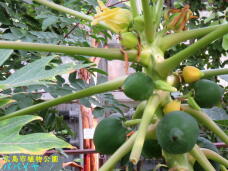 185108_3.jpg  : 67 KB