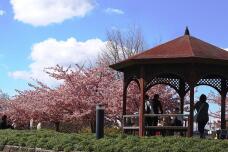 185112_1.jpg  : 148 KB