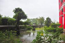 185114_3.jpg  : 72 KB