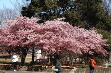 185118_1.jpg  : 171 KB