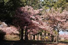 185124_1.jpg  : 189 KB