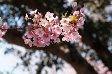 185124_2.jpg  : 88 KB