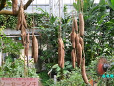 185129_3.jpg  : 101 KB