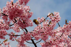 185137_1.jpg  : 104 KB