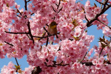 185137_3.jpg  : 125 KB