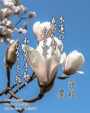 185141_1.jpg  : 170 KB