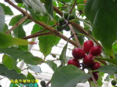 185146_1.jpg  : 50 KB