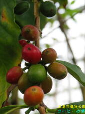 185146_2.jpg  : 37 KB