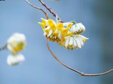 185152_1.jpg  : 66 KB