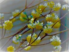 185152_2.jpg  : 83 KB