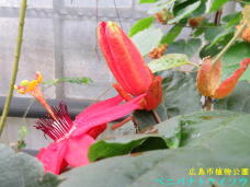 185161_2.jpg  : 49 KB