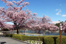 185163_3.jpg  : 139 KB