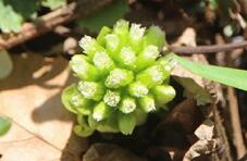 185167_1.jpg  : 32 KB