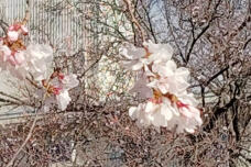 185178_2.jpg  : 201 KB