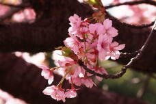 185185_2.jpg  : 97 KB