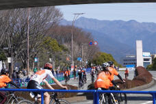 185194_1.jpg  : 287 KB