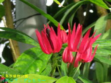 185202_3.jpg  : 47 KB