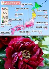 185205_2.jpg  : 194 KB